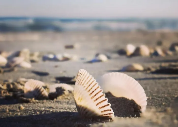 Apartment Cornelia Seaview Spa&pool In Infinity *