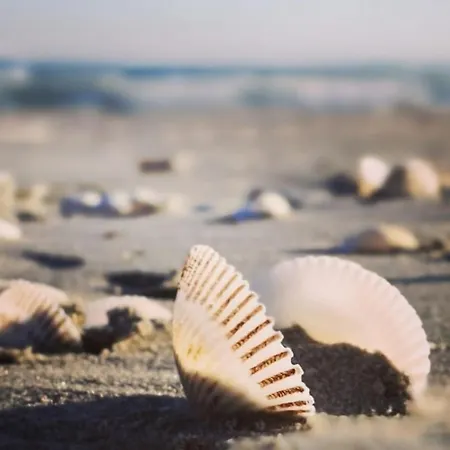 Apartamento Cornelia Seaview Spa&pool In Infinity *